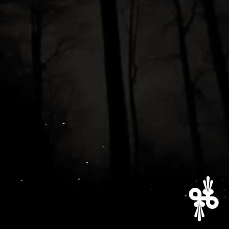song cover for Keep The Light (paused)